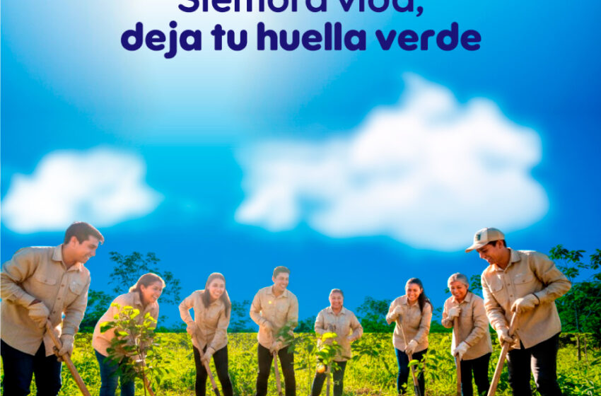  Actividad Siembra de Árboles